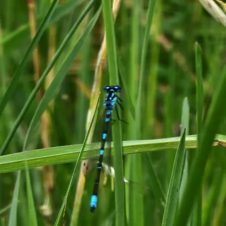 Hébergement de vacances W Lubianie