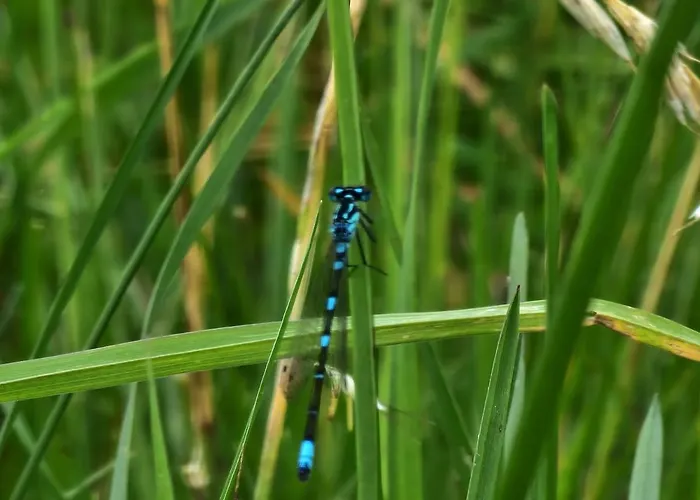 Дом отдыха W Lubianie