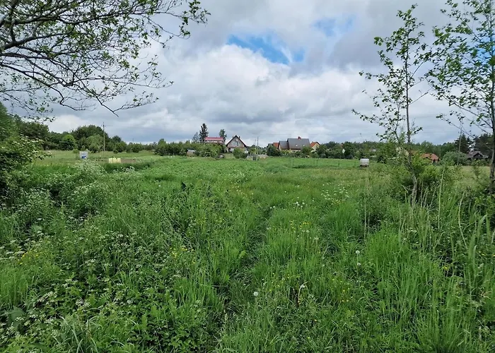 W Lubianie * Lubiana