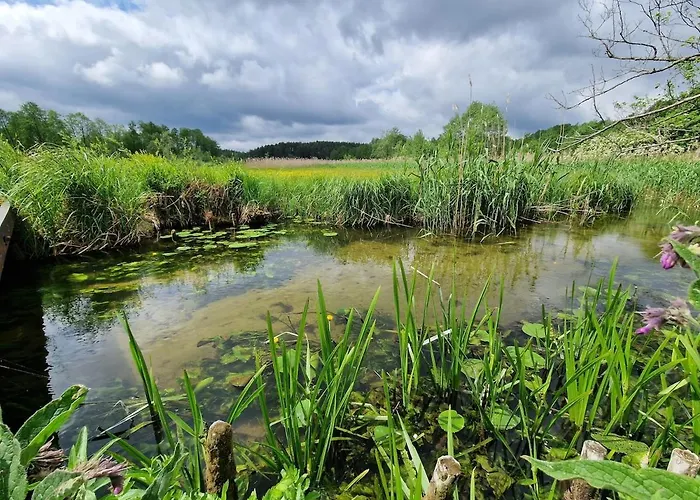W Lubianie Дом отдыха